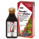 Salus Floradix Fer + Plantes