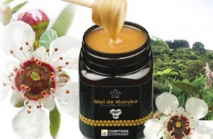 Miel de Manuka Comptoirs et Compagnies