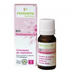 Crevasses du mamelon Pranarom