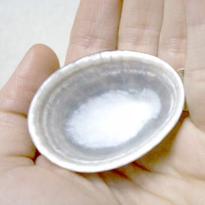 Coquillage d'allaitement Bébé Nacre